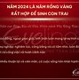 Các Tháng Sinh Đẹp Trong Năm 2024