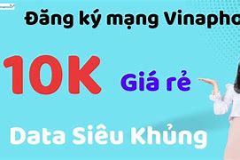 Cài Mạng Vina 10K