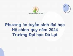 Đại Học Luật Tuyển Sinh Thạc Sĩ 2024