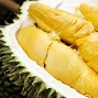 Giá Cây Sầu Riêng Musang King