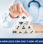 Tuổi Mậu Dần 1998 Hợp Màu Gì Năm 2023